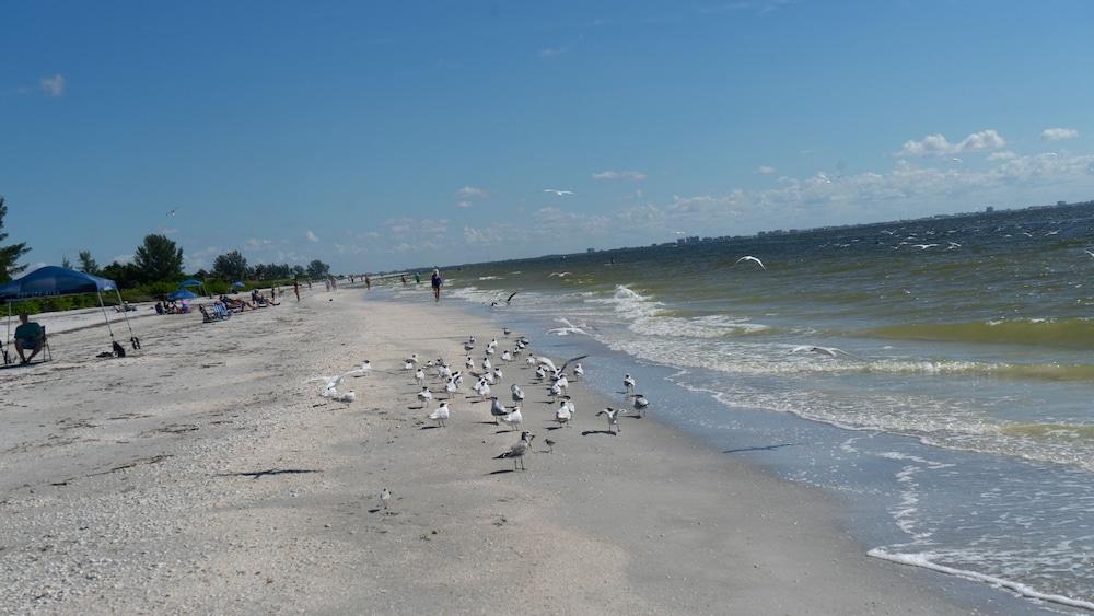 Gulf Breeze Cottages Sanibel Zewnętrze zdjęcie